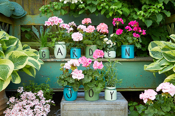 Letnie ogrody: zrelaksuj si, twrz i  poczuj si dobrze Kreatywne pomysy „Zrb to sam” z pelargoniami