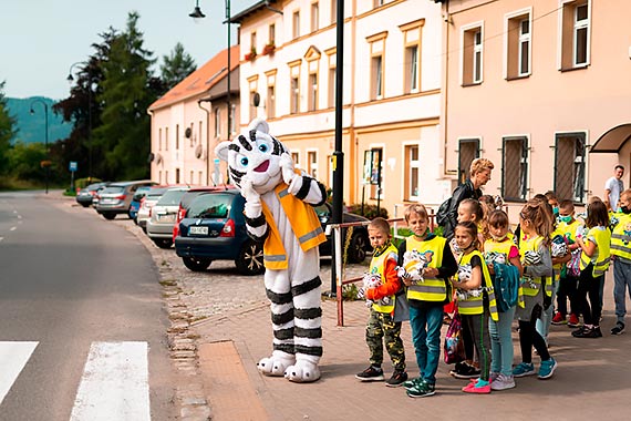 Polskie dzieci bezpieczniejsze na drogach. Tygrys uczy odpowiednich zachowa