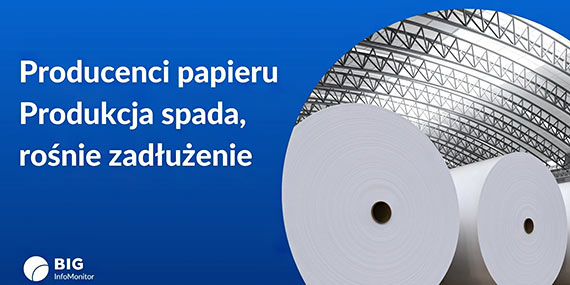 BIG InfoMonitor: Producenci papieru w opaach – produkcja spada, ronie zaduenie. Odczuje to brana poligraficzna