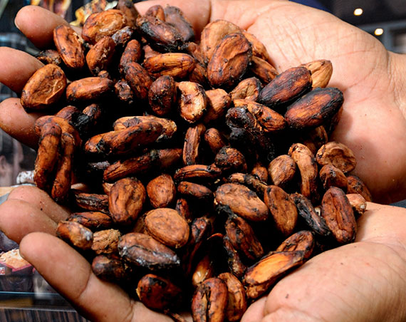 Ceny kakao na wiecie dalej bd rosy. Polacy ju zaczli to odczuwa. I to nie tylko na sodyczach